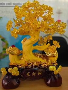 CÂY TIỀN VÀNG