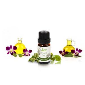 Tinh dầu Khuynh Diệp 10ml