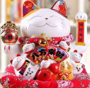 MÈO HỒ LÔ NGÂN KIM LƯỢNG SIZE 20