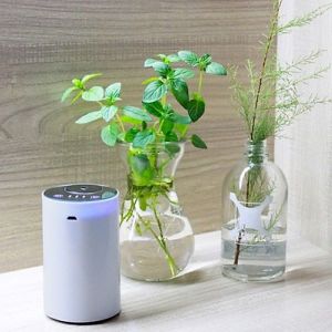 MÁY PHUN TRỰC TIẾP TINH DẦU