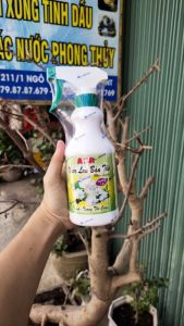 NƯỚC LAU BÀN THỜ