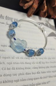 HỒ LY ĐÁ AQUA