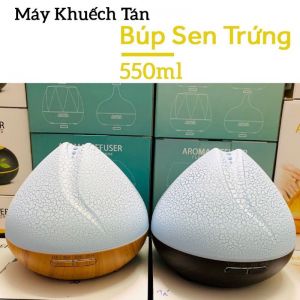 BÚP SEN VỎ TRỨNG