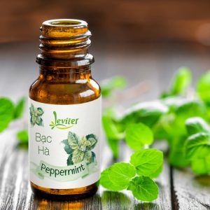 TINH DẦU BẠC HÀ