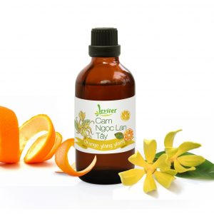  TINH DẦU CAM NGỌC LAN TÂY