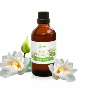 TINH DẦU SEN TRẮNG