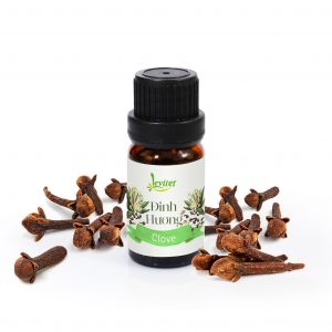 TINH DẦU ĐINH HƯƠNG