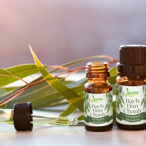 TINH DẦU BẠCH ĐÀN CHANH