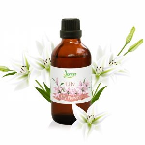 TINH DẦU HOA LILY
